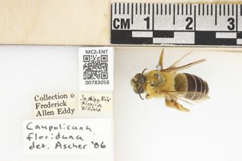Media type: image;   Entomology 783058 Aspect: labels